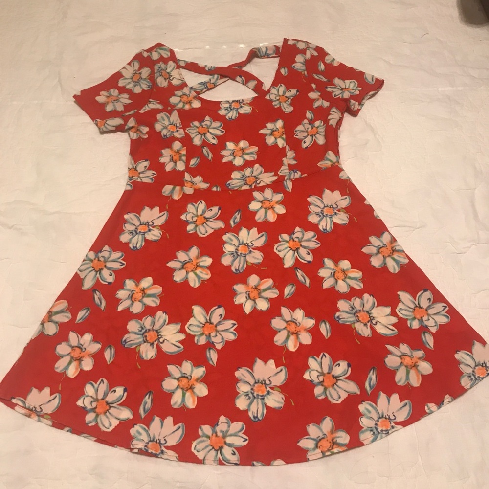 Red Floral Skater Dress